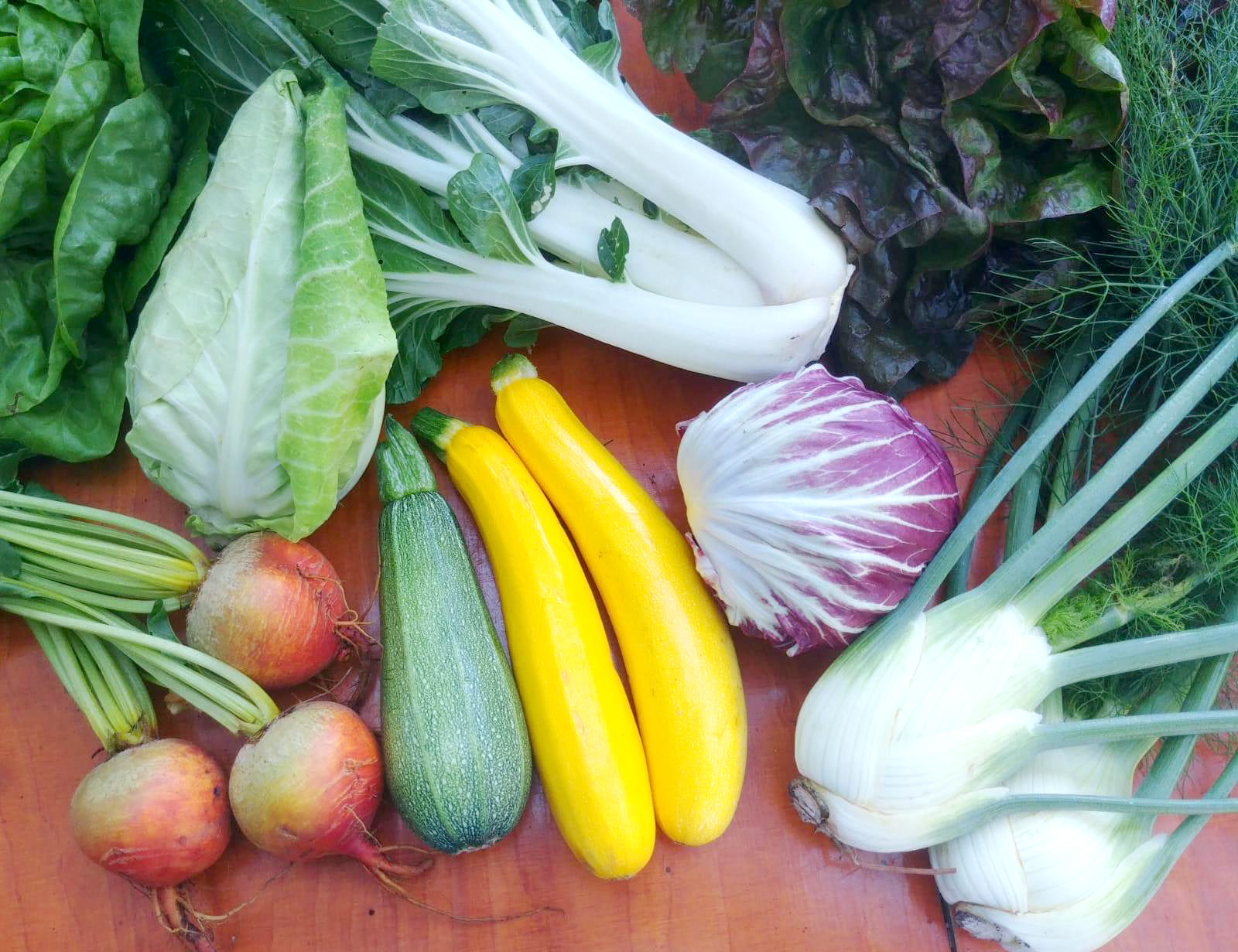 Meld je aan bij een CSA tuinderij, Herenboerderij of Voedselcoöperatie bij jou in de buurt.